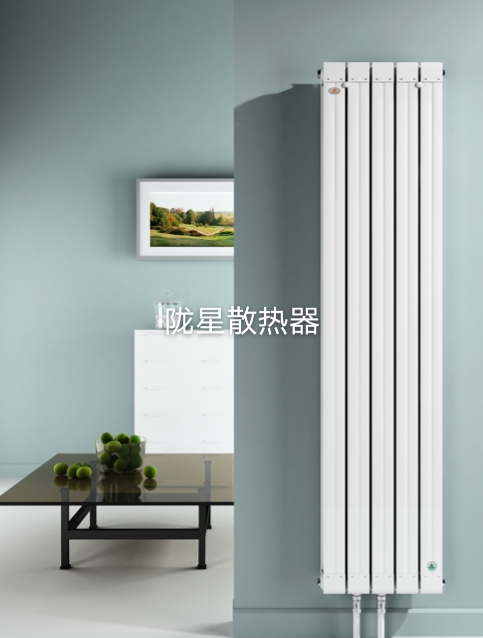 暖气片10